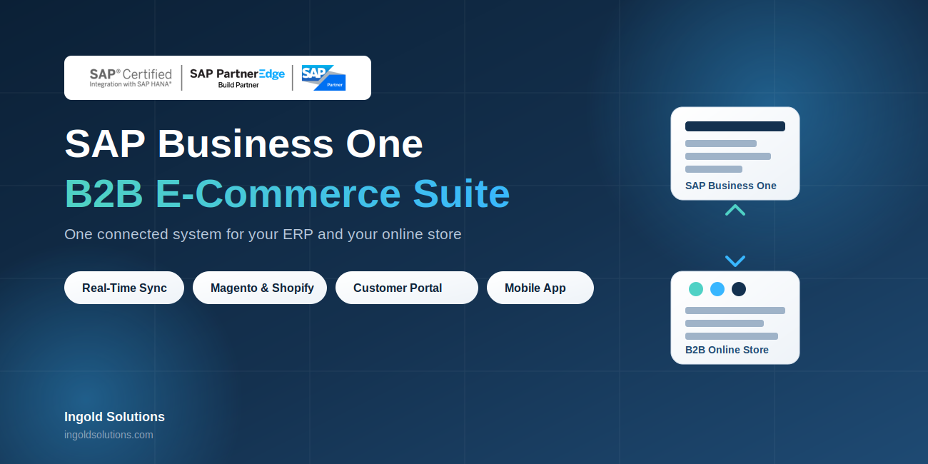 SAP Business One B2B E-Commerce Suite: The Complete Guide to a Fully Integrated B2B Online Store