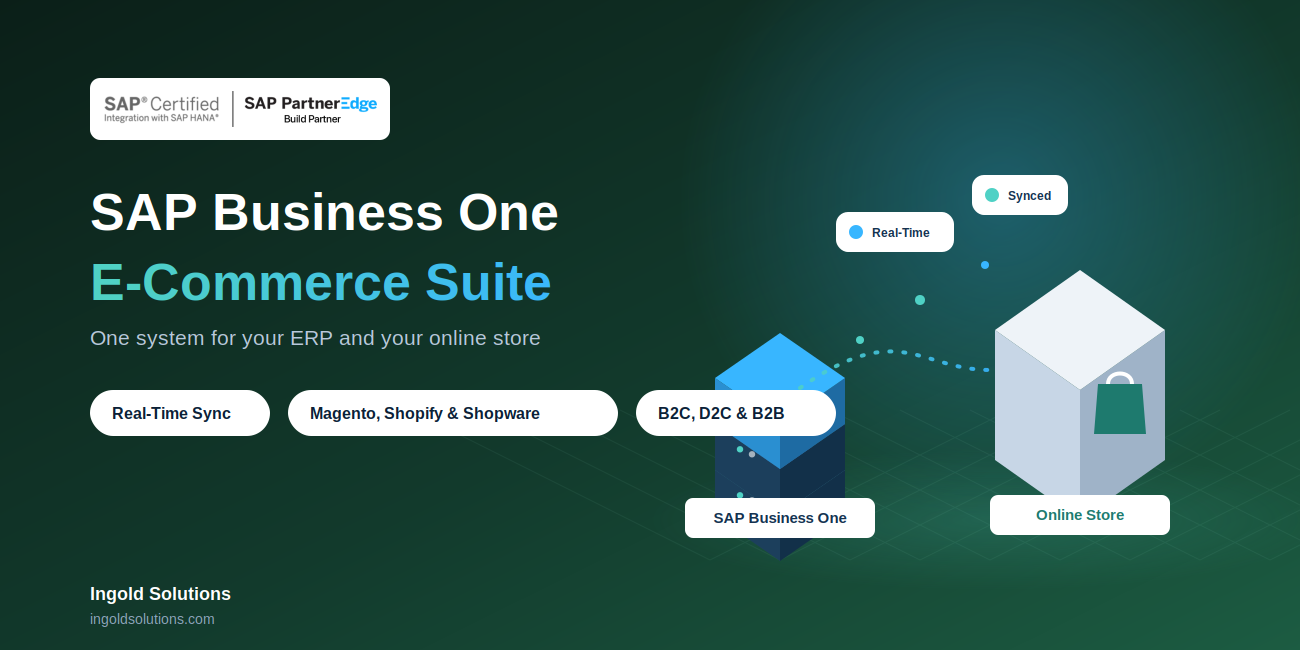 SAP Business One E-Commerce Suite: The Complete Guide